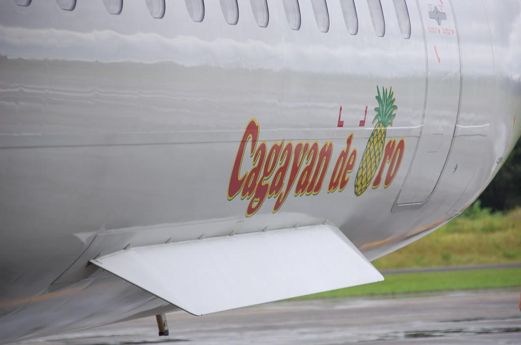 pal express plane tail