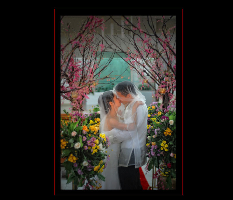 sherwin and ching 5