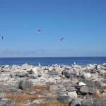 galapagos islands