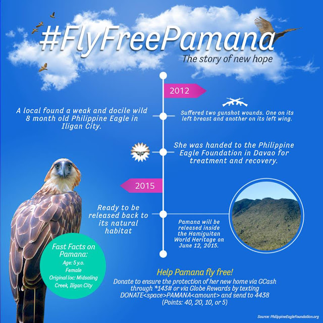 How to donate for Philippine Eagle conservation through your cellphone
