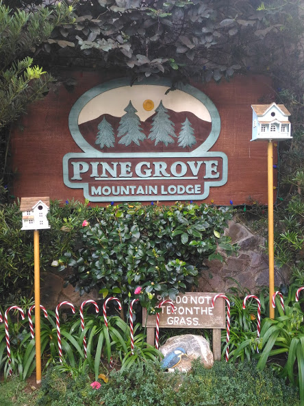 pinegrove-mountain-lodge-dahilayan-bukidnon
