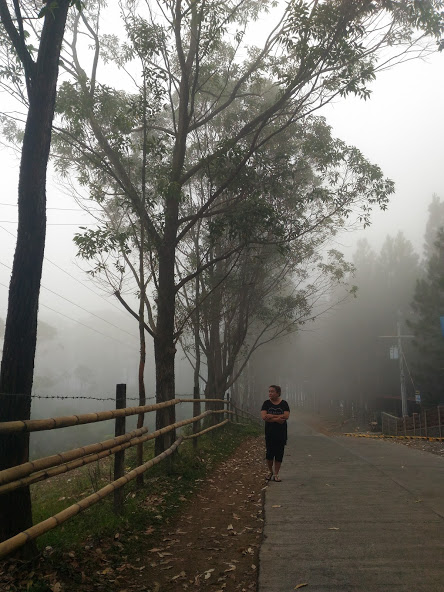 foggy-bukidnon