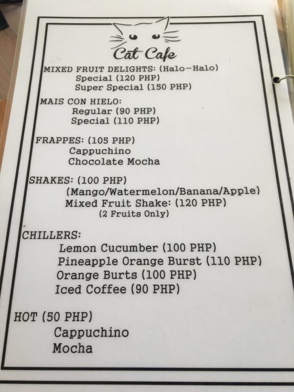 cat cafe cebu philippines