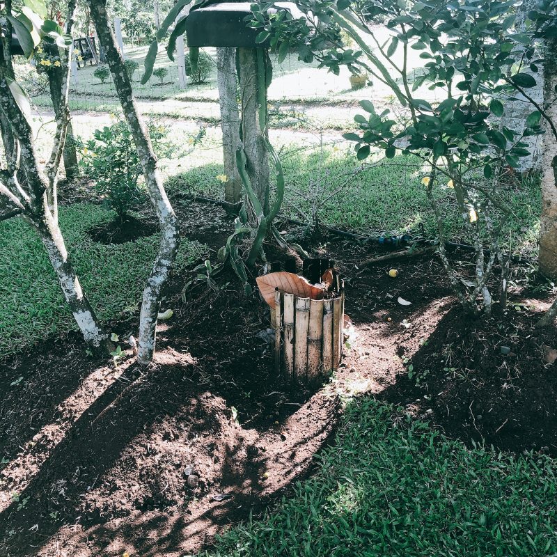 eco-cultural farm malaybalay bukidnon