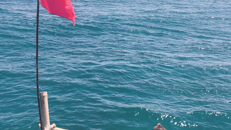 Tesalate Beach Towels – why you must own this best sand-free towel